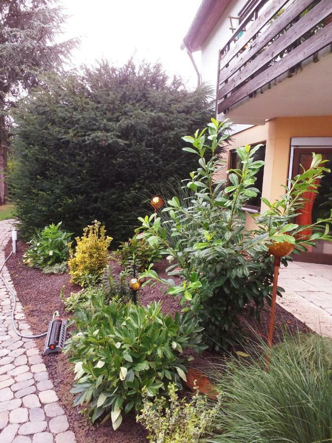 Ferienwohnung Im Rottal Oberrot Eksteriør bilde